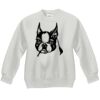 Youth ComfortBlend® EcoSmart® Fleece Crew Thumbnail