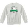 Youth ComfortBlend® EcoSmart® Fleece Crew Thumbnail