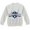 Youth ComfortBlend® EcoSmart® Fleece Crew Thumbnail