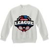 Youth ComfortBlend® EcoSmart® Fleece Crew Thumbnail