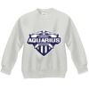 Youth ComfortBlend® EcoSmart® Fleece Crew Thumbnail