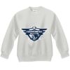 Youth ComfortBlend® EcoSmart® Fleece Crew Thumbnail