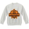 Youth ComfortBlend® EcoSmart® Fleece Crew Thumbnail