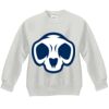 Youth ComfortBlend® EcoSmart® Fleece Crew Thumbnail
