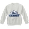Youth ComfortBlend® EcoSmart® Fleece Crew Thumbnail