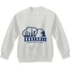 Youth ComfortBlend® EcoSmart® Fleece Crew Thumbnail