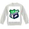 Youth ComfortBlend® EcoSmart® Fleece Crew Thumbnail