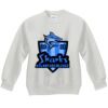 Youth ComfortBlend® EcoSmart® Fleece Crew Thumbnail