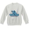 Youth ComfortBlend® EcoSmart® Fleece Crew Thumbnail