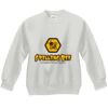 Youth ComfortBlend® EcoSmart® Fleece Crew Thumbnail