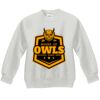 Youth ComfortBlend® EcoSmart® Fleece Crew Thumbnail