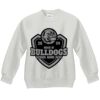 Youth ComfortBlend® EcoSmart® Fleece Crew Thumbnail