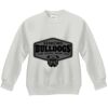 Youth ComfortBlend® EcoSmart® Fleece Crew Thumbnail