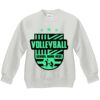 Youth ComfortBlend® EcoSmart® Fleece Crew Thumbnail