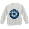 Youth ComfortBlend® EcoSmart® Fleece Crew Thumbnail