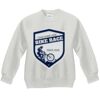 Youth ComfortBlend® EcoSmart® Fleece Crew Thumbnail