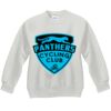Youth ComfortBlend® EcoSmart® Fleece Crew Thumbnail