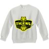 Youth ComfortBlend® EcoSmart® Fleece Crew Thumbnail