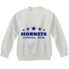 Youth ComfortBlend® EcoSmart® Fleece Crew Thumbnail