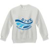 Youth ComfortBlend® EcoSmart® Fleece Crew Thumbnail